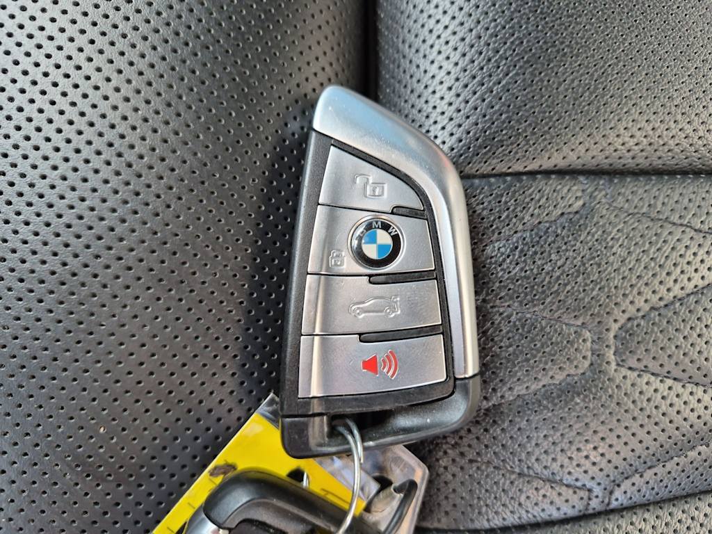 Thumbnail: 2019 BMW X5 - 19