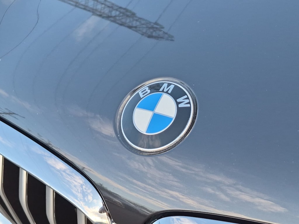 Thumbnail: 2019 BMW X5 - 3