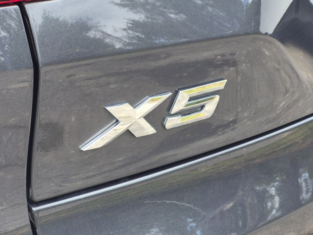 Thumbnail: 2019 BMW X5 - 26