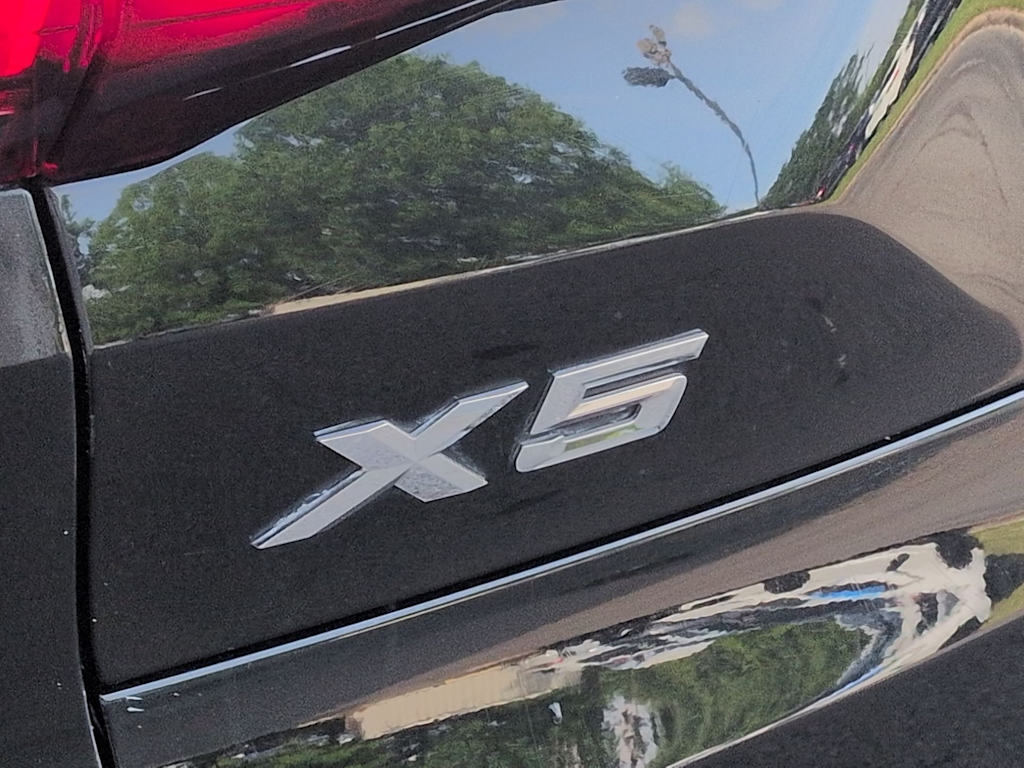 Thumbnail: 2019 BMW X5 - 26