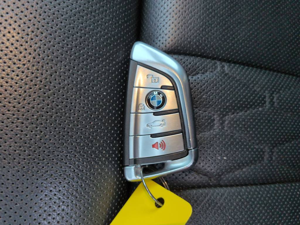 Thumbnail: 2020 BMW X7 - 19