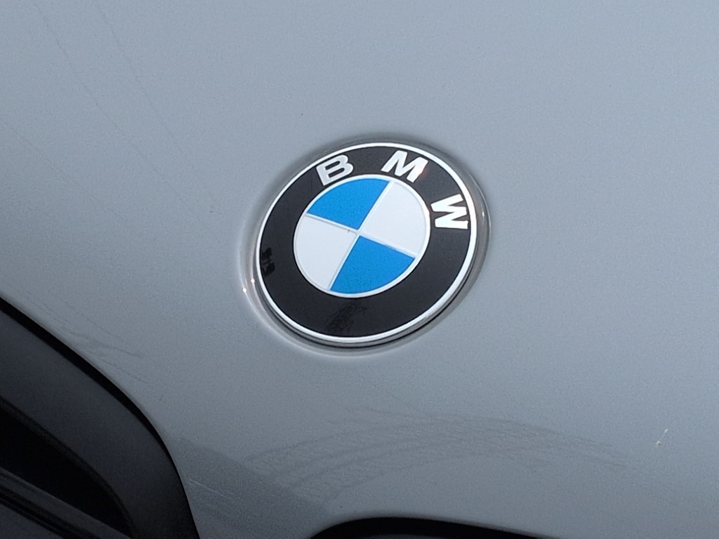 Thumbnail: 2025 BMW X6 - 7