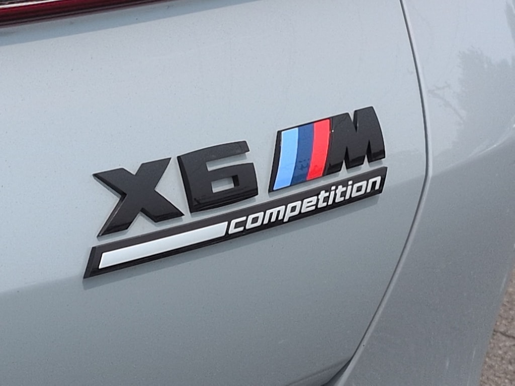 Thumbnail: 2025 BMW X6 - 26