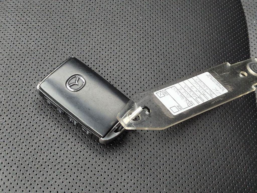 Thumbnail: 2023 Mazda CX-9 - 18