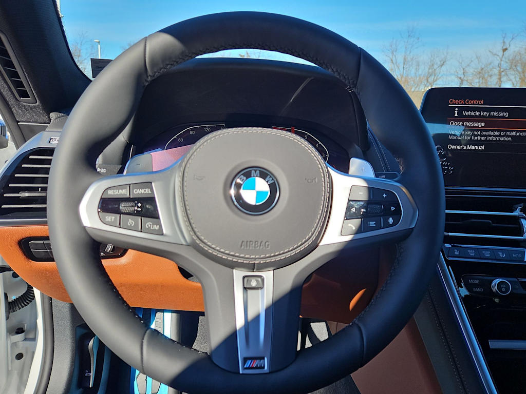 Thumbnail: 2026 BMW 8 Series - 13