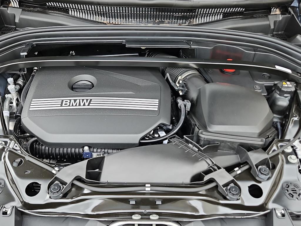 Thumbnail: 2025 BMW X1 - 9