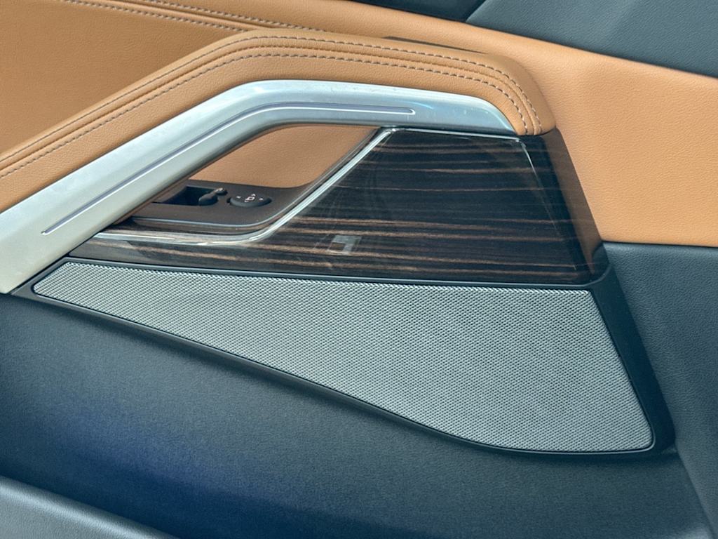 Thumbnail: 2025 BMW X6 - 17