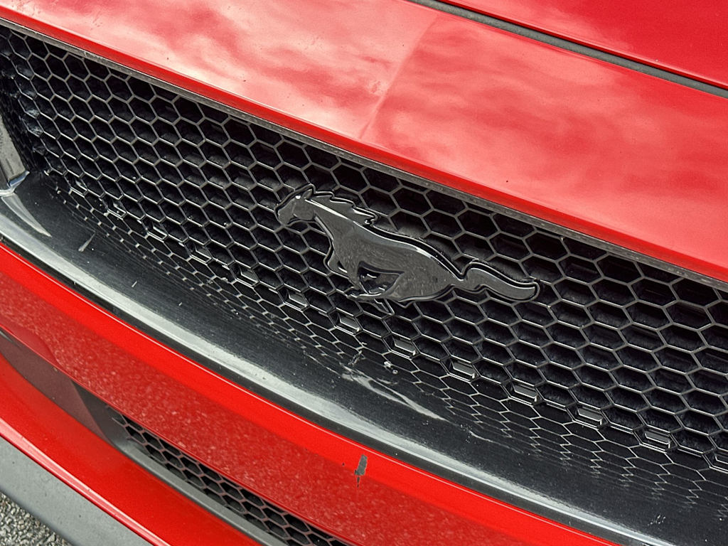 Thumbnail: 2019 Ford Mustang - 7
