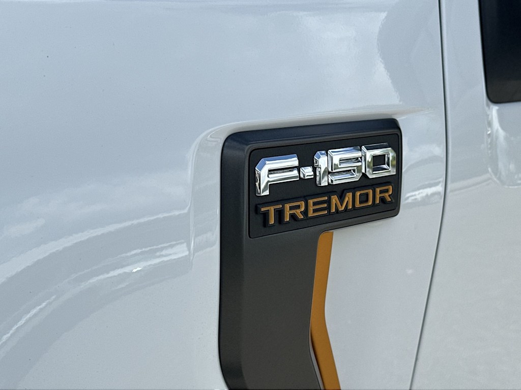 Thumbnail: 2024 Ford F-150 - 23