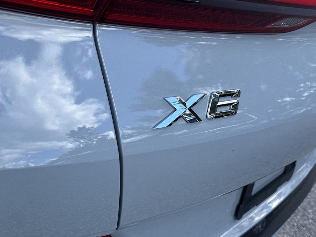 Thumbnail: 2024 BMW X6 - 22