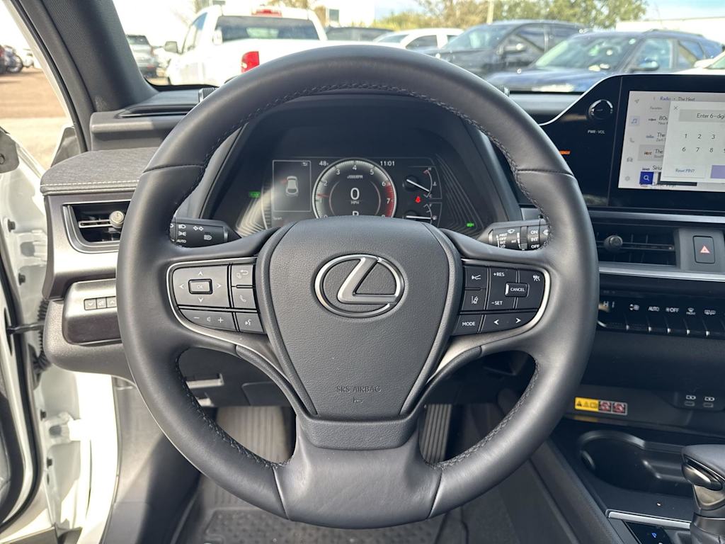 2024 Lexus UX 250h 14