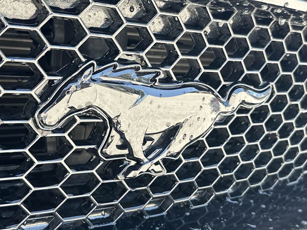 Thumbnail: 2023 Ford Mustang - 23