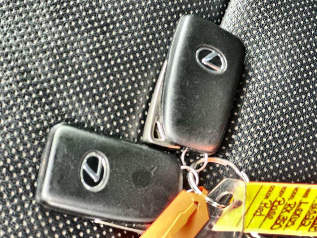 Thumbnail: 2022 Lexus RX - 16