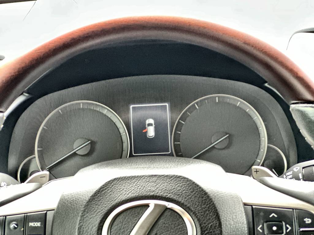 Thumbnail: 2022 Lexus RX - 21