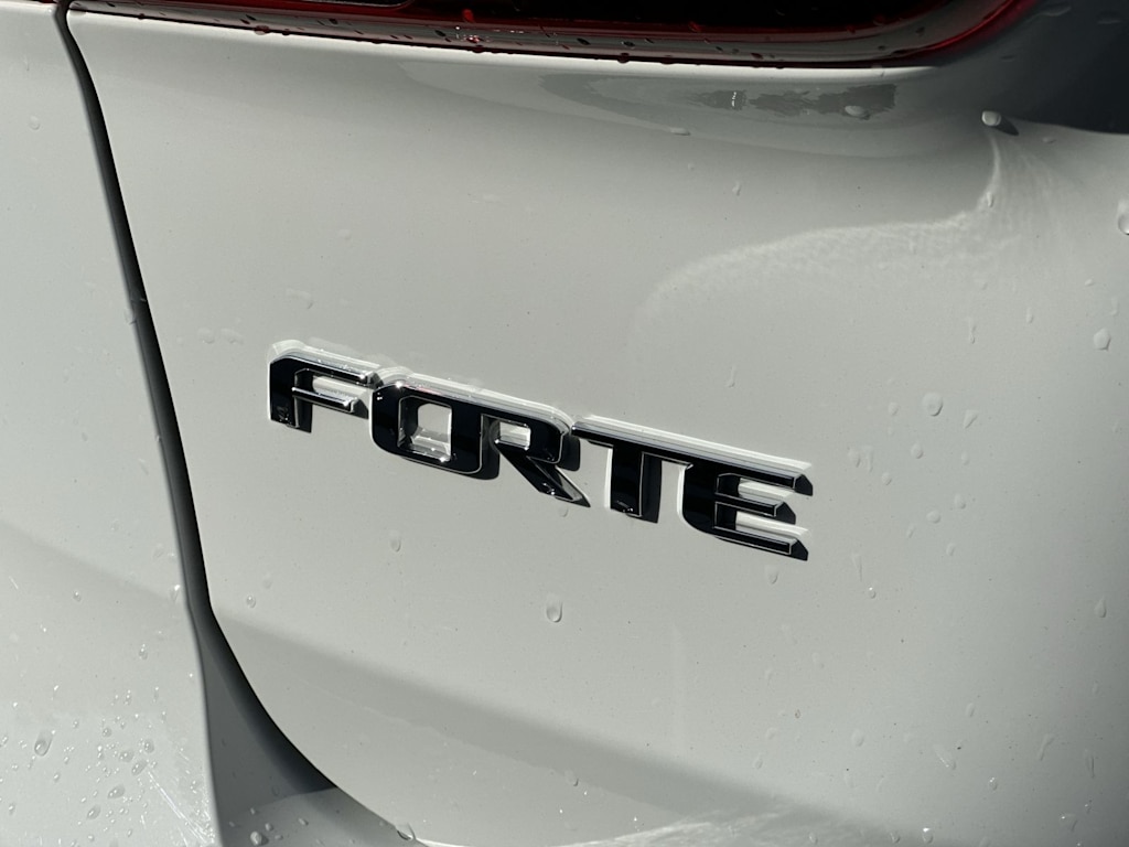 Thumbnail: 2017 Kia Forte - 7