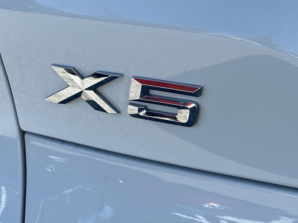 Thumbnail: 2019 BMW X5 - 6