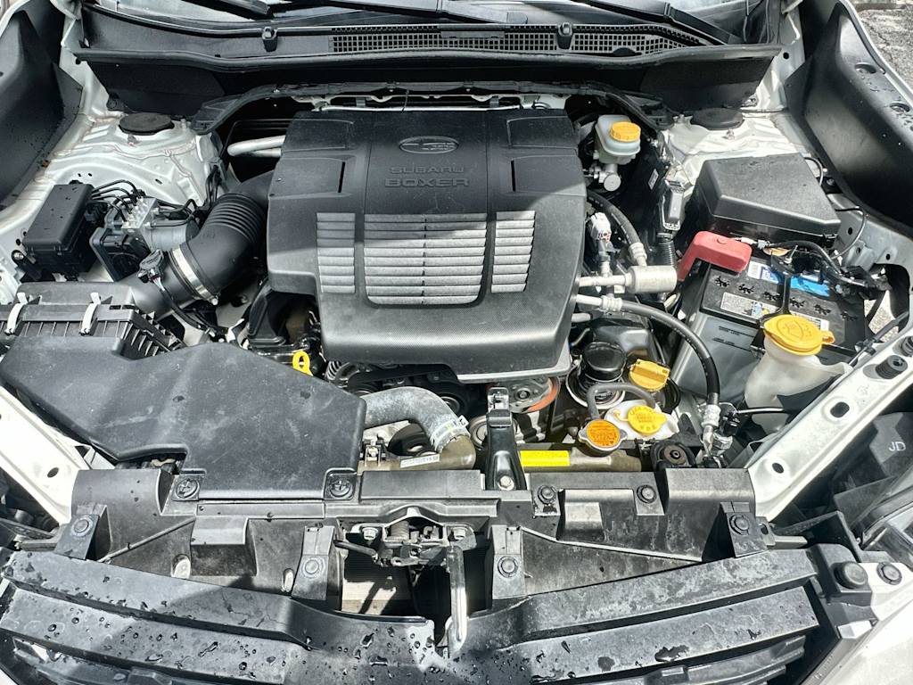 Thumbnail: 2019 Subaru Forester - 9