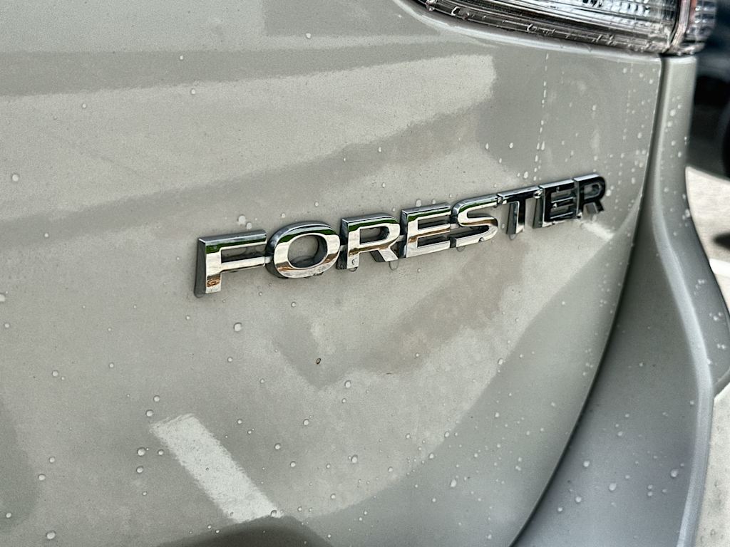 Thumbnail: 2019 Subaru Forester - 7