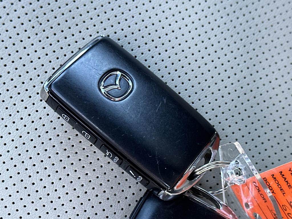 Thumbnail: 2021 Mazda CX-9 - 18