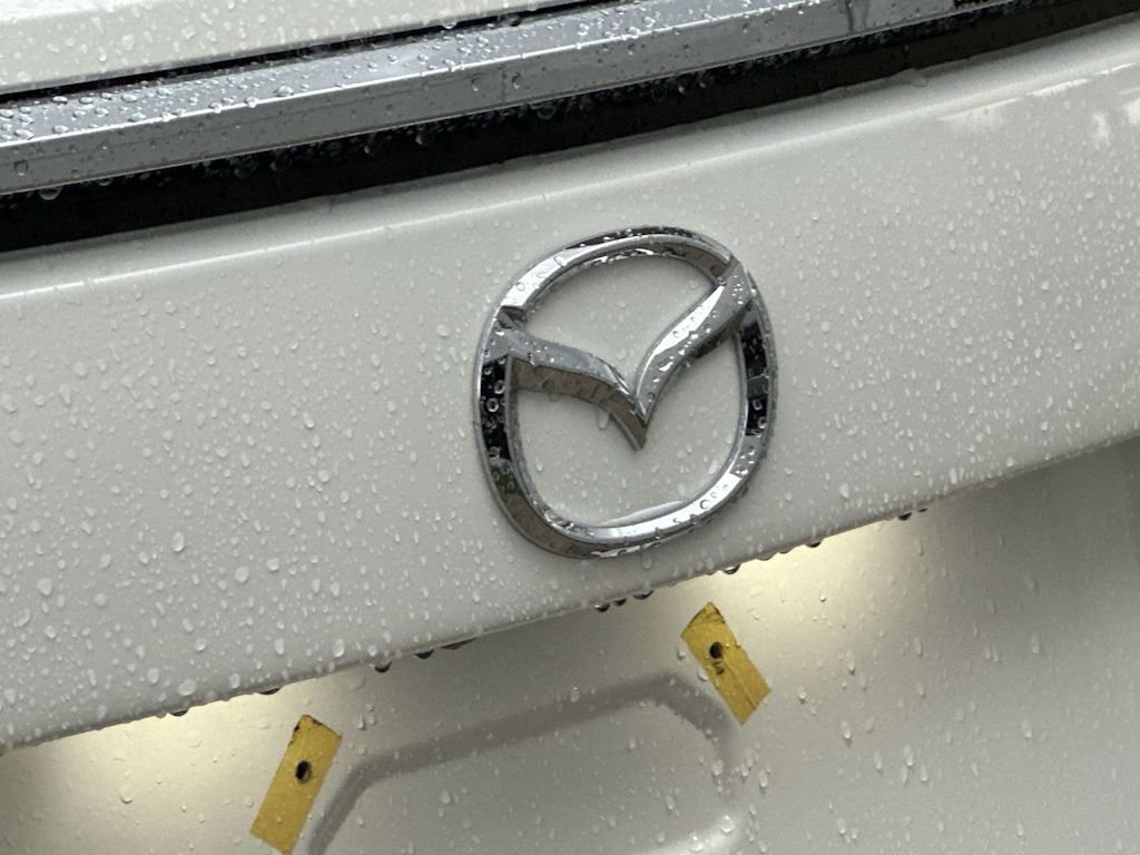 Thumbnail: 2022 Mazda CX-9 - 22
