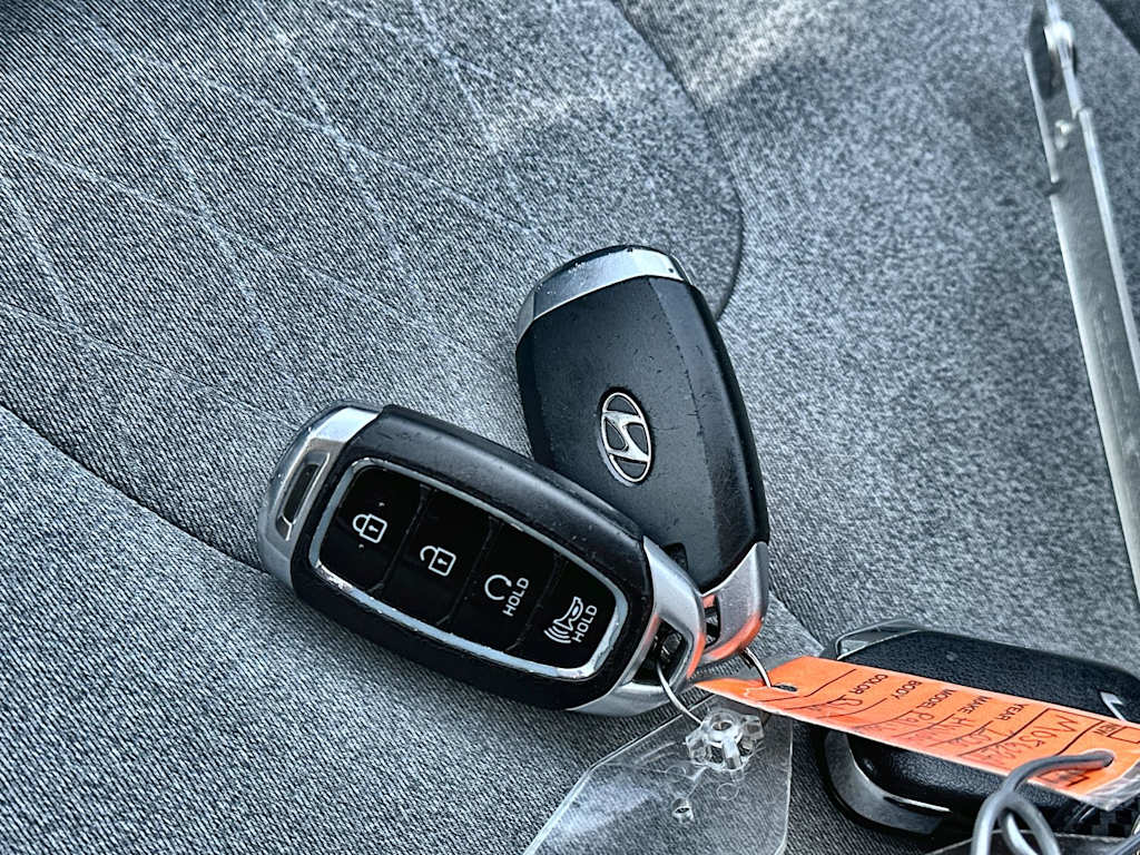 Thumbnail: 2020 Hyundai Palisade - 17