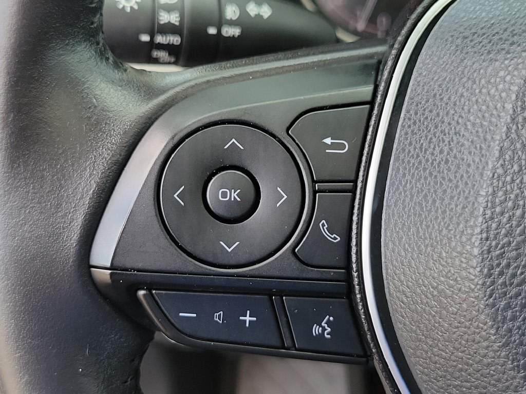 Thumbnail: 2019 Toyota RAV4 - 33