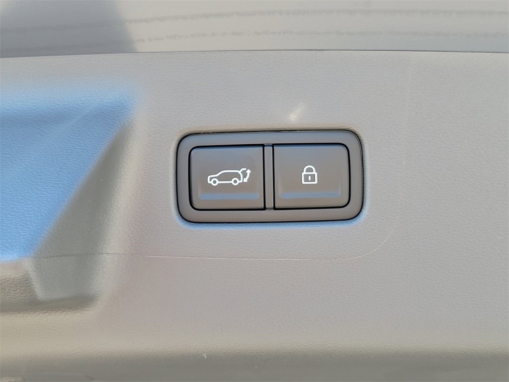 2025 Hyundai Santa Fe Calligraphy 17