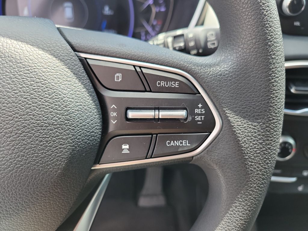 Thumbnail: 2020 Hyundai Santa Fe - 22