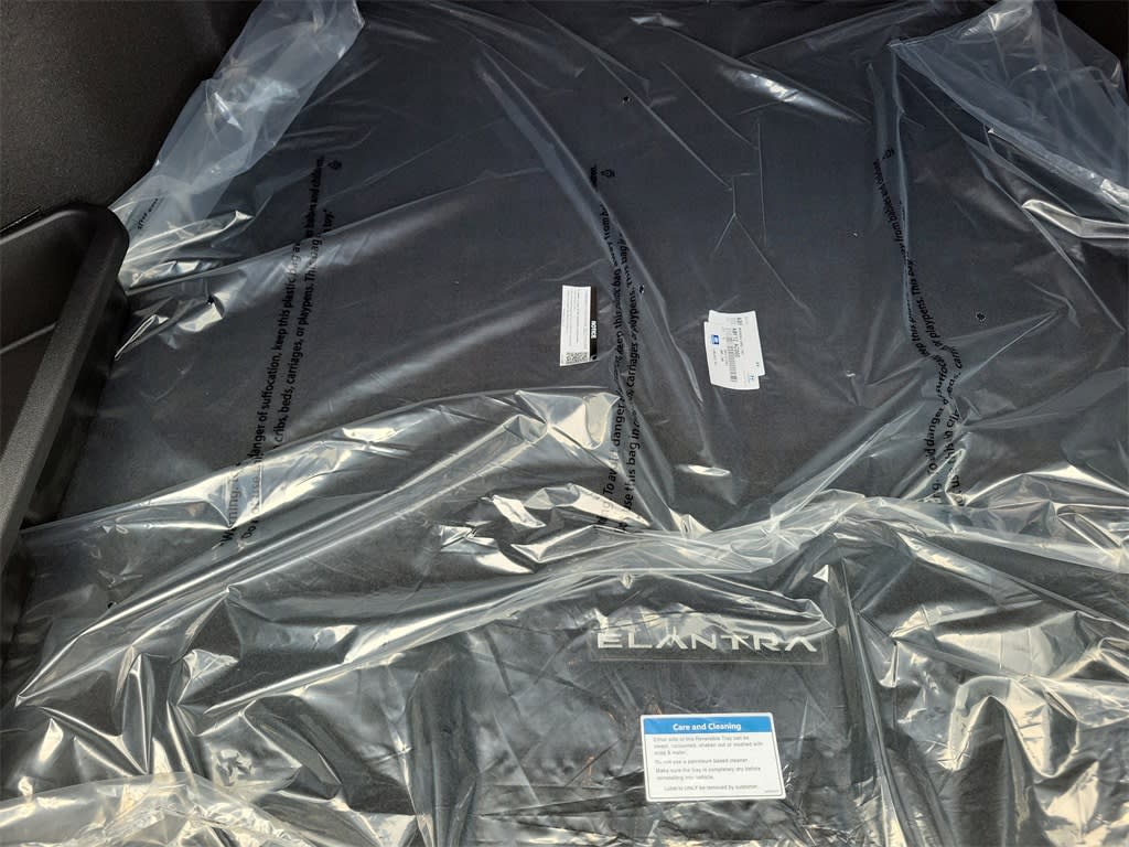 Thumbnail: 2025 Hyundai Elantra - 20