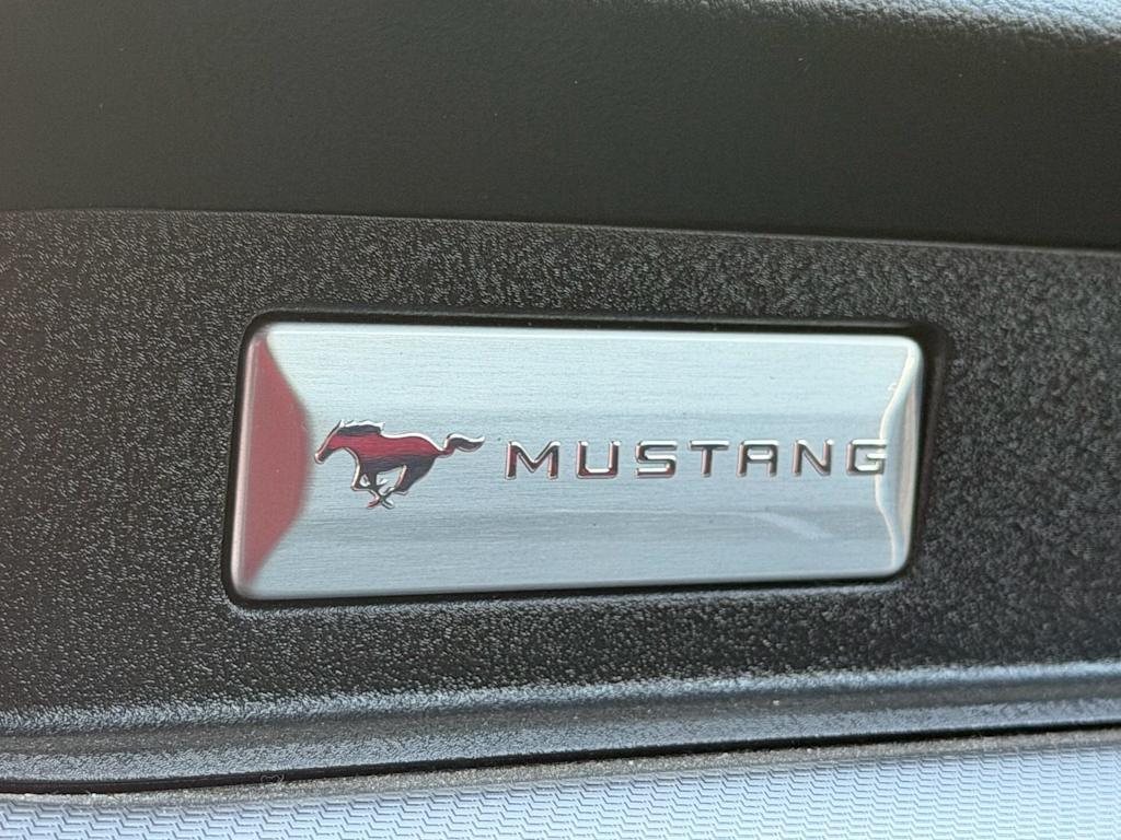 Thumbnail: 2019 Ford Mustang - 3