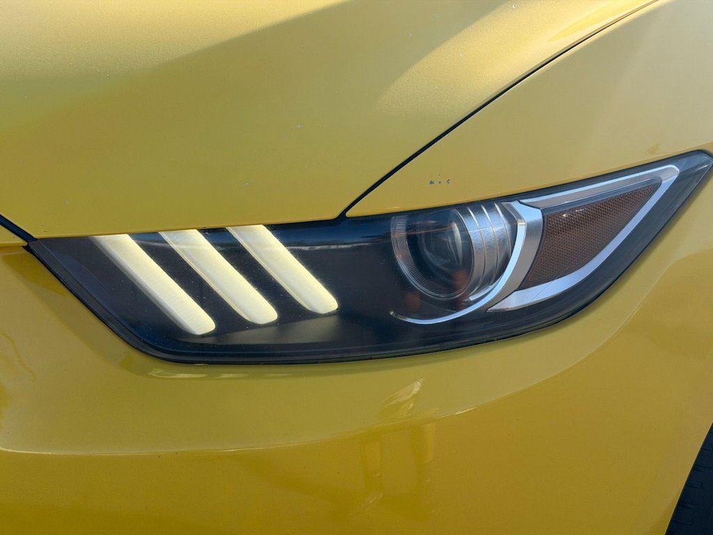 Thumbnail: 2016 Ford Mustang - 28