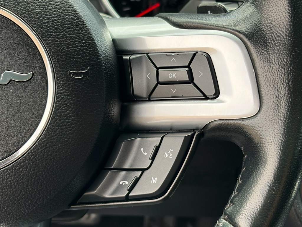 Thumbnail: 2019 Ford Mustang - 22