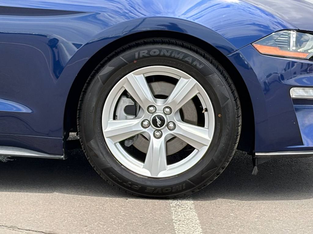 Thumbnail: 2019 Ford Mustang - 8