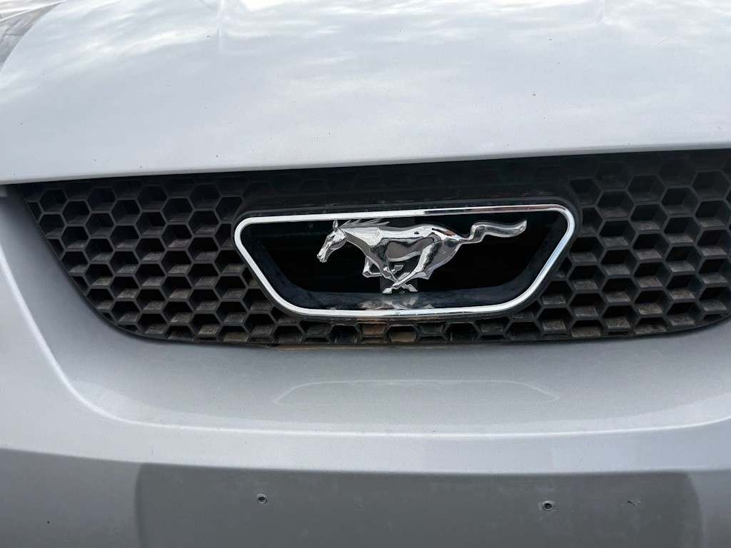 Thumbnail: 2002 Ford Mustang - 16