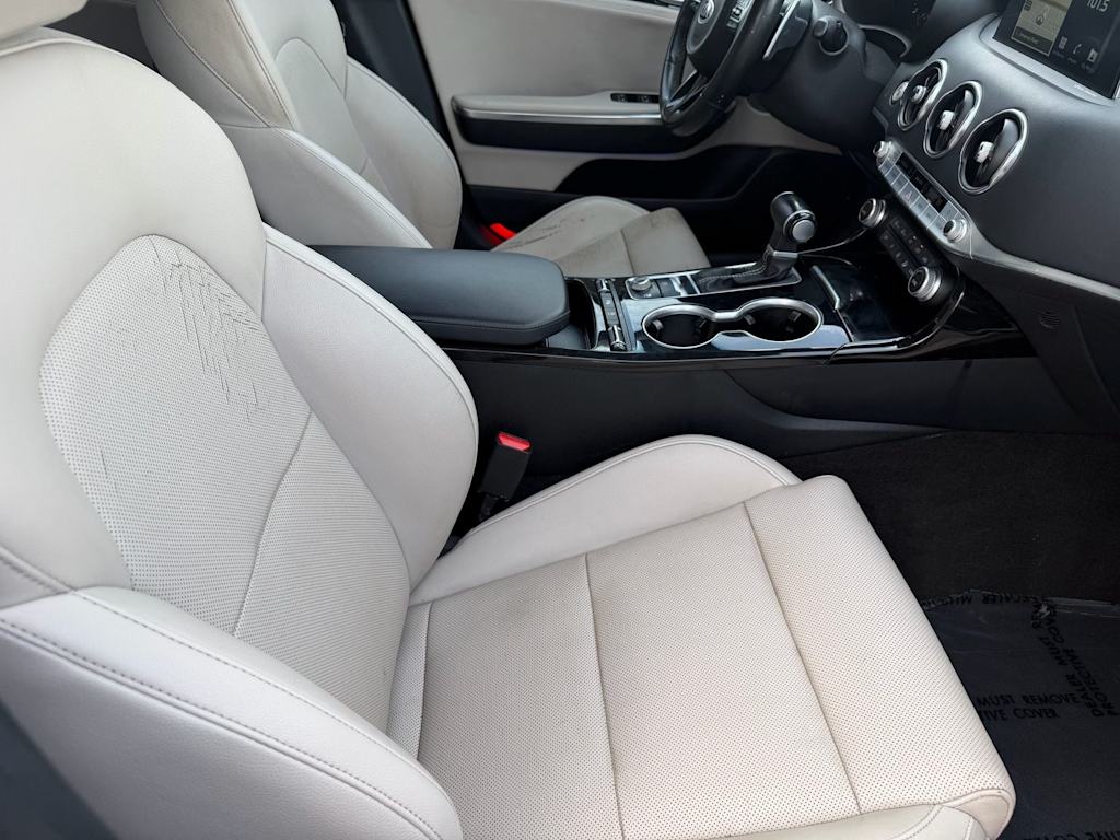 Thumbnail: 2019 Kia Stinger - 10