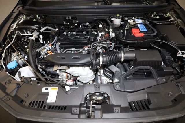 Thumbnail: 2026 Honda Accord - 8