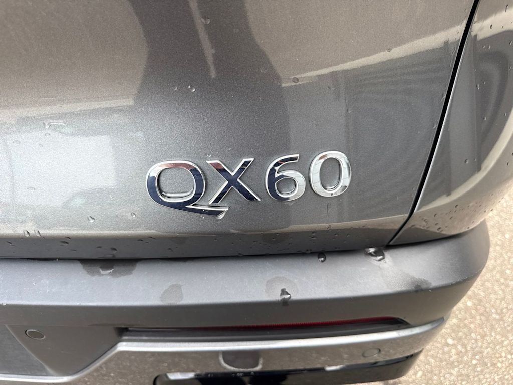 Thumbnail: 2024 INFINITI QX60 - 6
