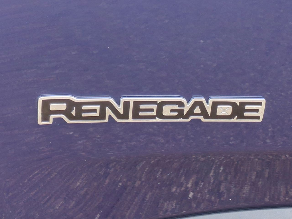 Thumbnail: 2019 Jeep Renegade - 24