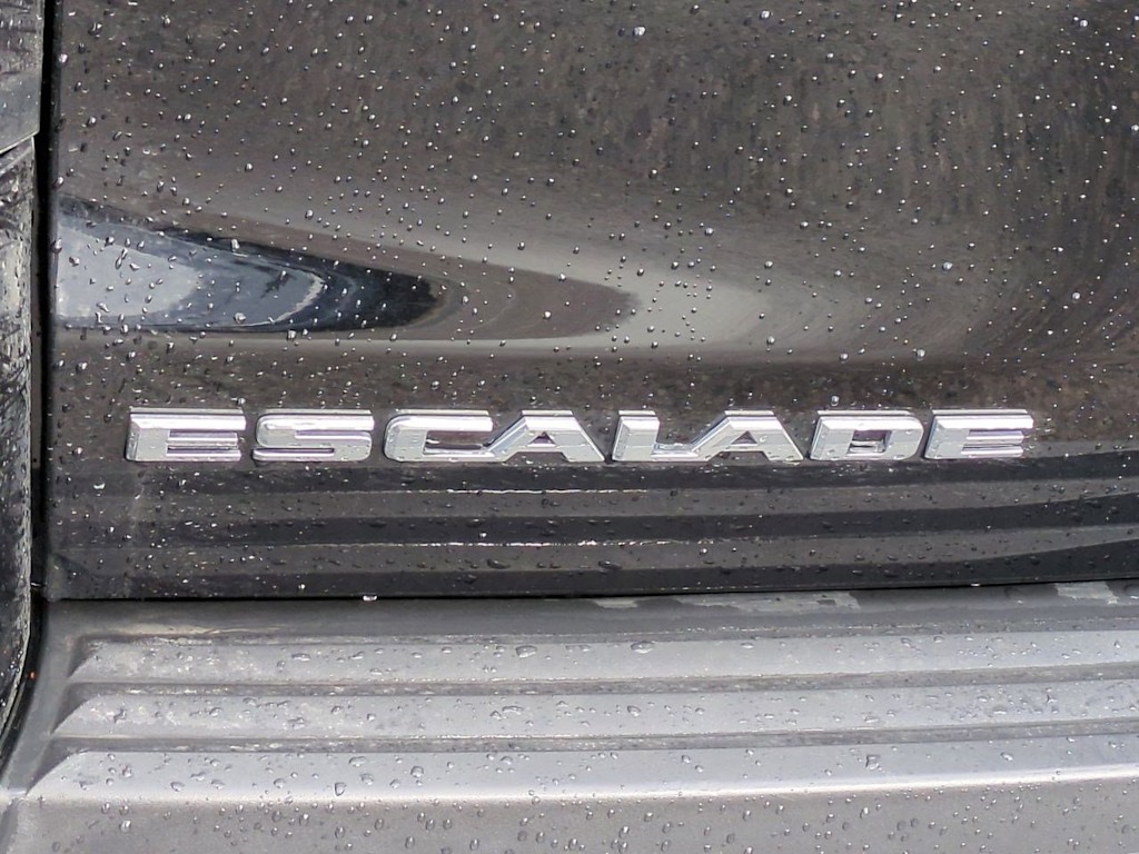 2018 Cadillac Escalade Luxury 24