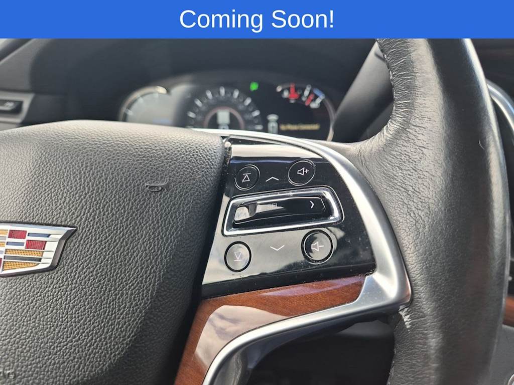 Thumbnail: 2019 Cadillac Escalade - 33