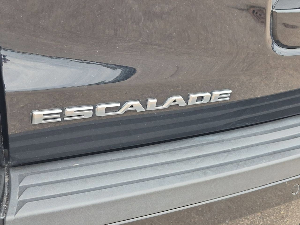 Thumbnail: 2019 Cadillac Escalade - 25