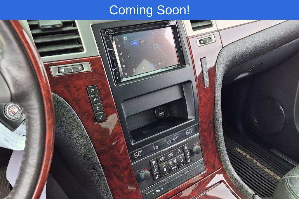 Thumbnail: 2010 Cadillac Escalade - 15