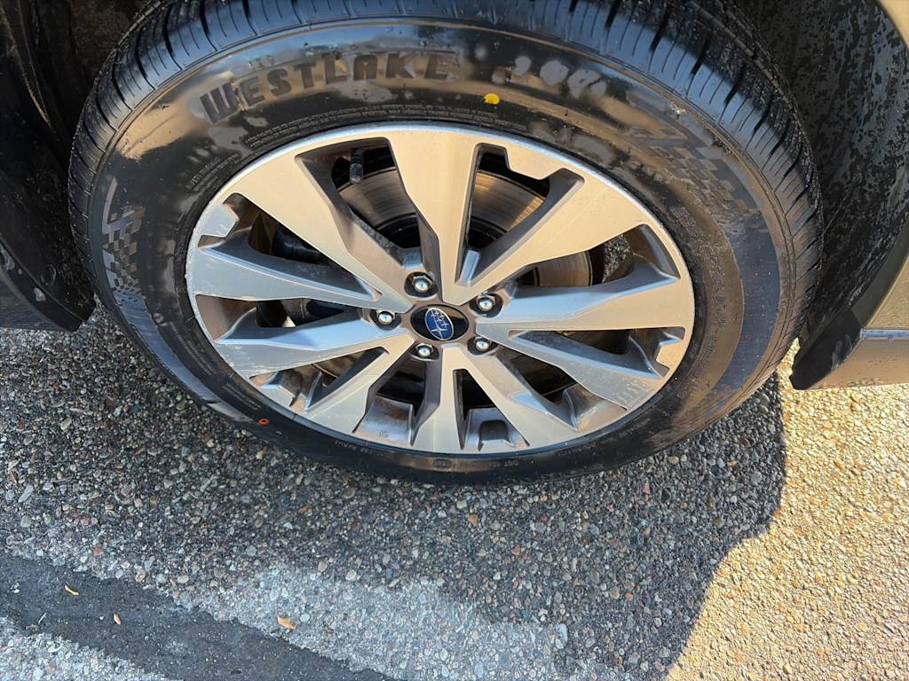 Thumbnail: 2019 Subaru Outback - 13