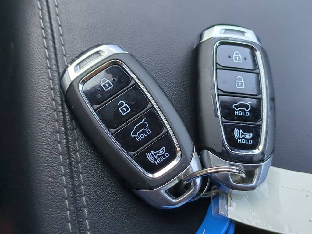 Thumbnail: 2019 Hyundai Santa Fe - 18