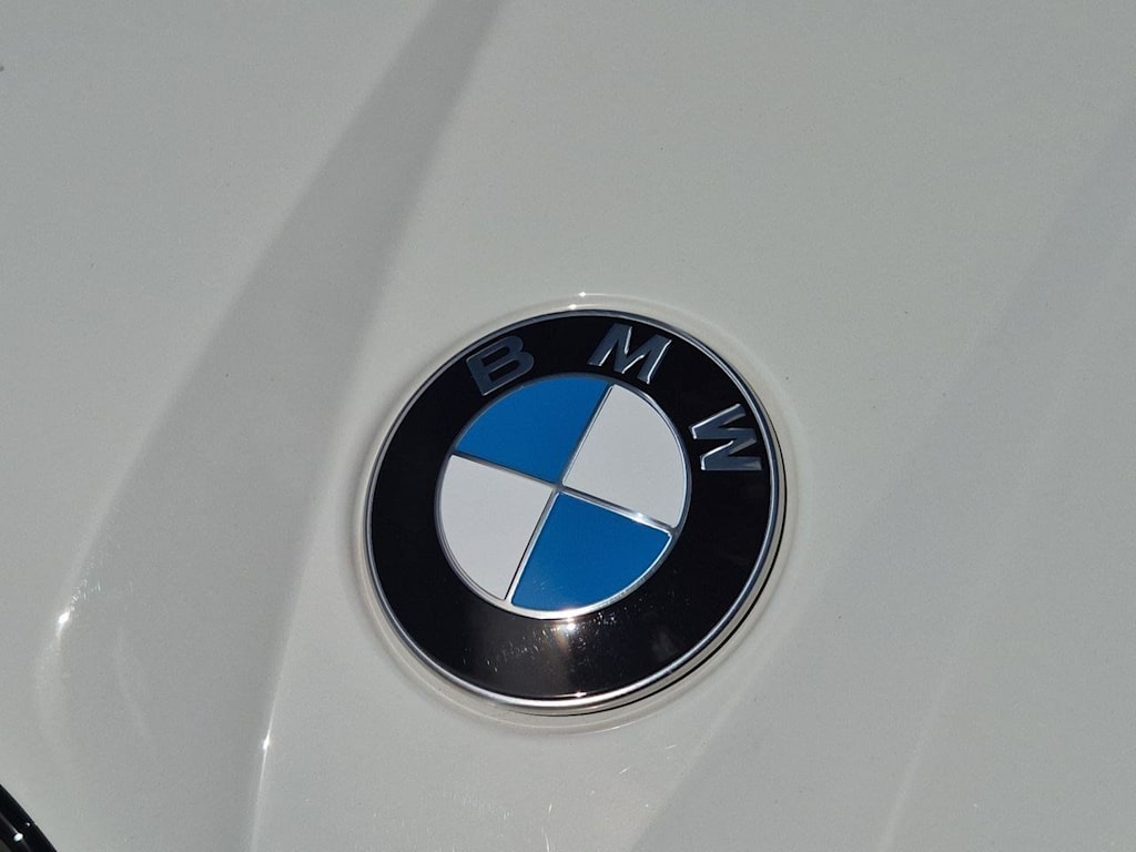 Thumbnail: 2025 BMW X3 - 3
