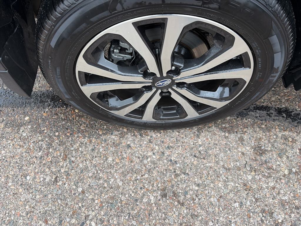 Thumbnail: 2023 Subaru Forester - 15