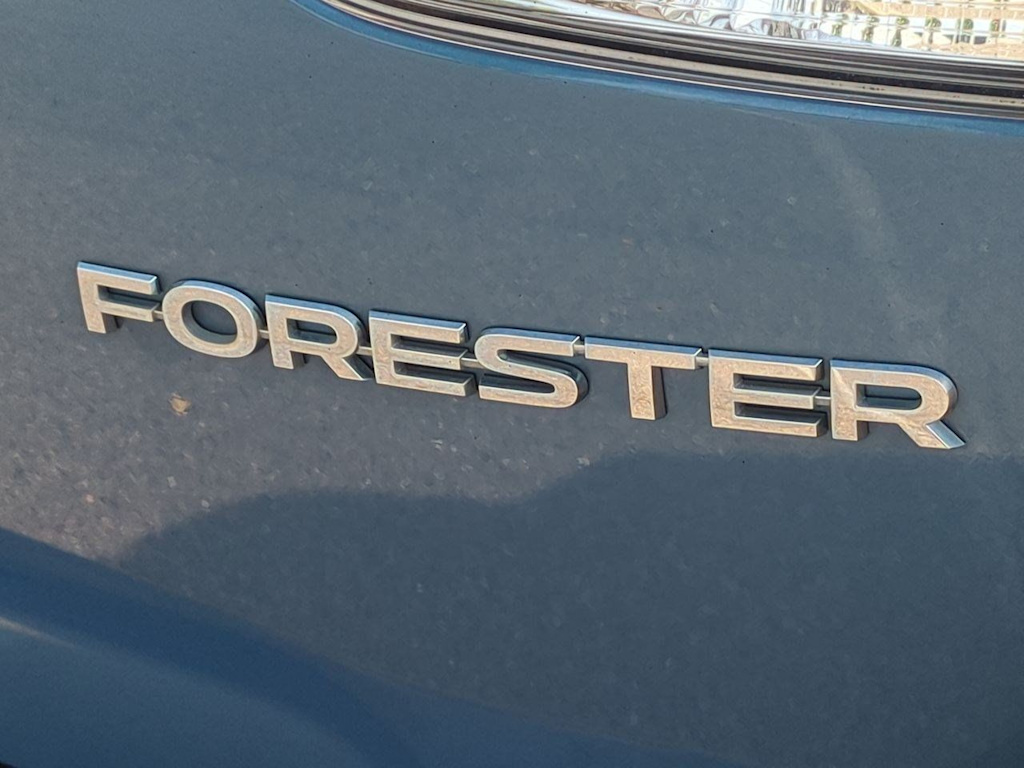 Thumbnail: 2019 Subaru Forester - 23