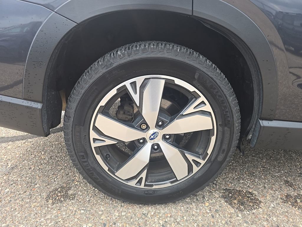 Thumbnail: 2019 Subaru Forester - 16