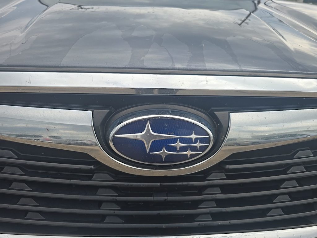 Thumbnail: 2019 Subaru Forester - 7