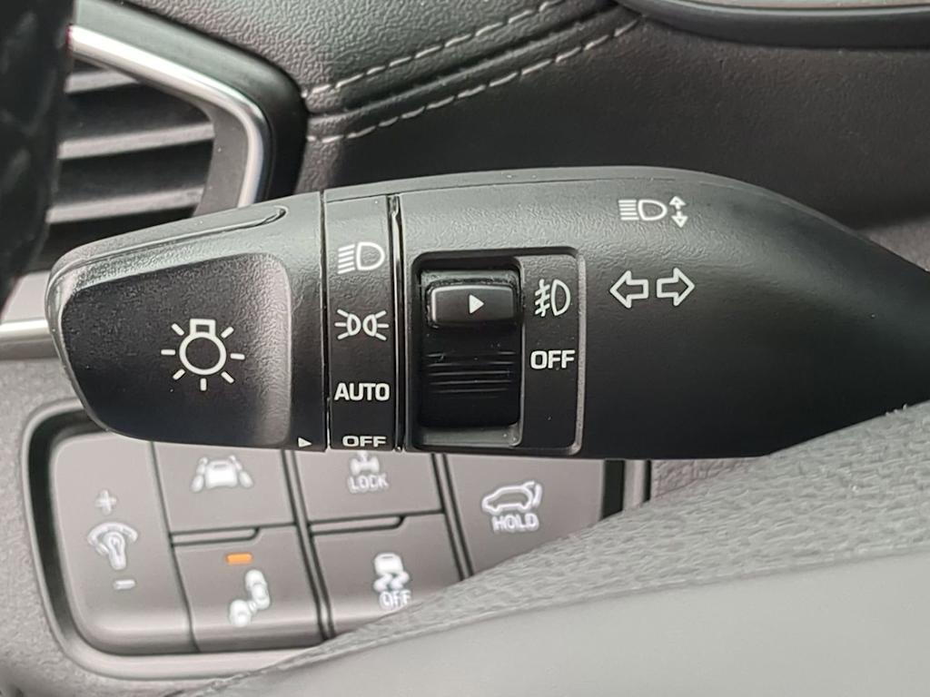 Thumbnail: 2019 Hyundai Santa Fe - 30